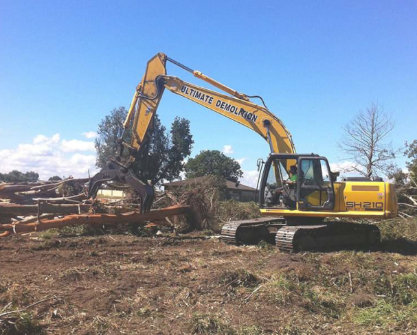 Tree Removal
